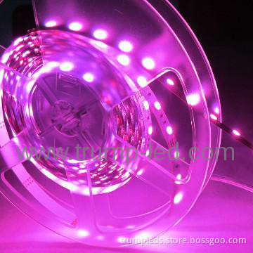 wholesale net christmas lights christmas lighting christmas led lights